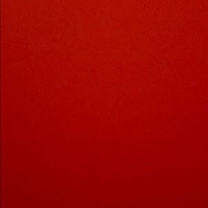 Meet your Posher, Molly